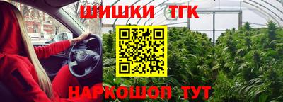 прущие грибы Краснокаменск