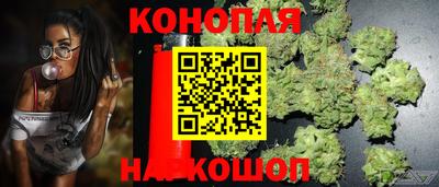 прущие грибы Краснокаменск