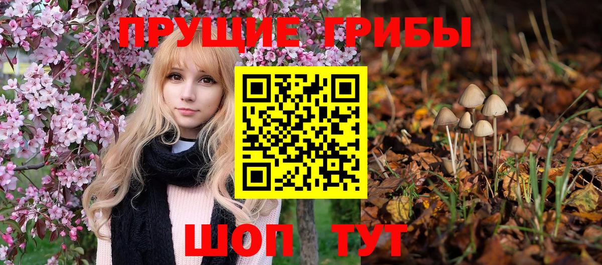 Йошкар-Ола  Псилоцибиновые грибы GOLDEN TEACHER  Вход с VPN 