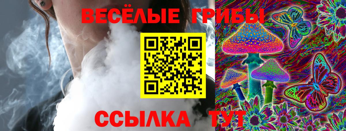 Псилоцибиновые грибы MAGIC MUSHROOMS Йошкар-Ола